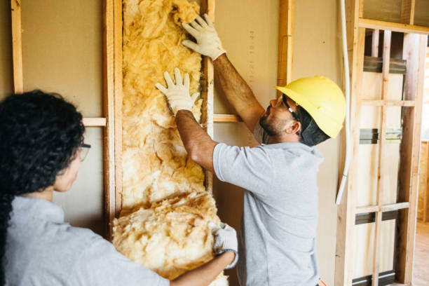 Best Commercial Insulation Contractor  in Valley Mills, TX