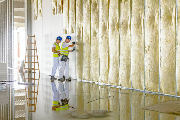 Best Spray Foam Insulation  in Valley Mills, TX